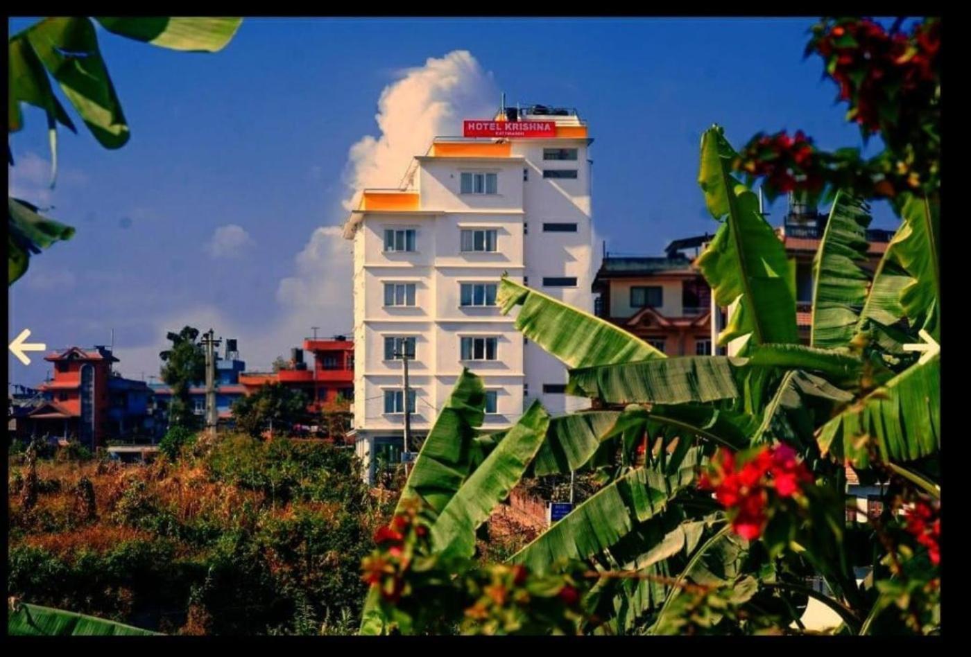 Hotel Krishna Kathmandu Bagian luar foto